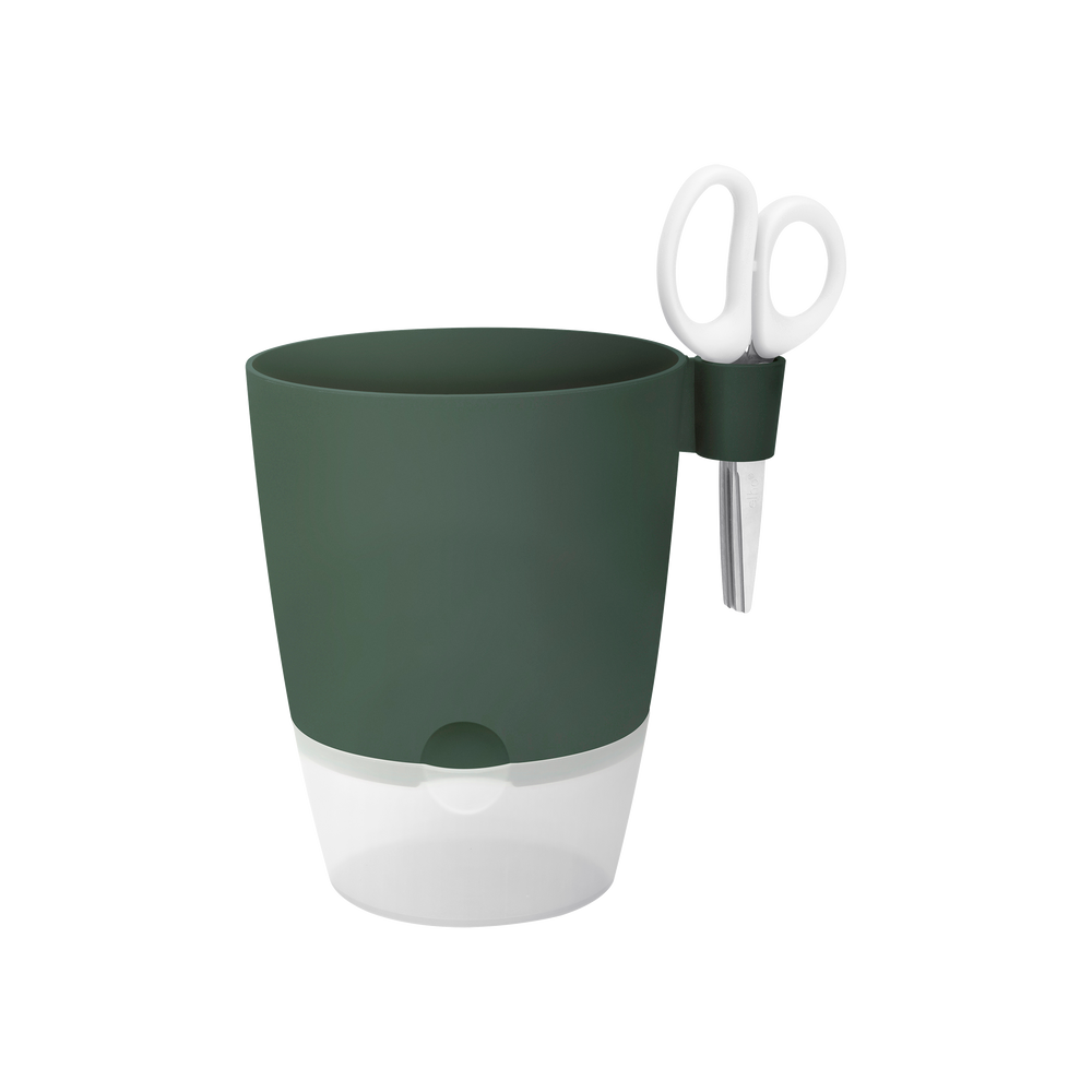 Brussels Kruiden Allin1 13Cm Blad Groen