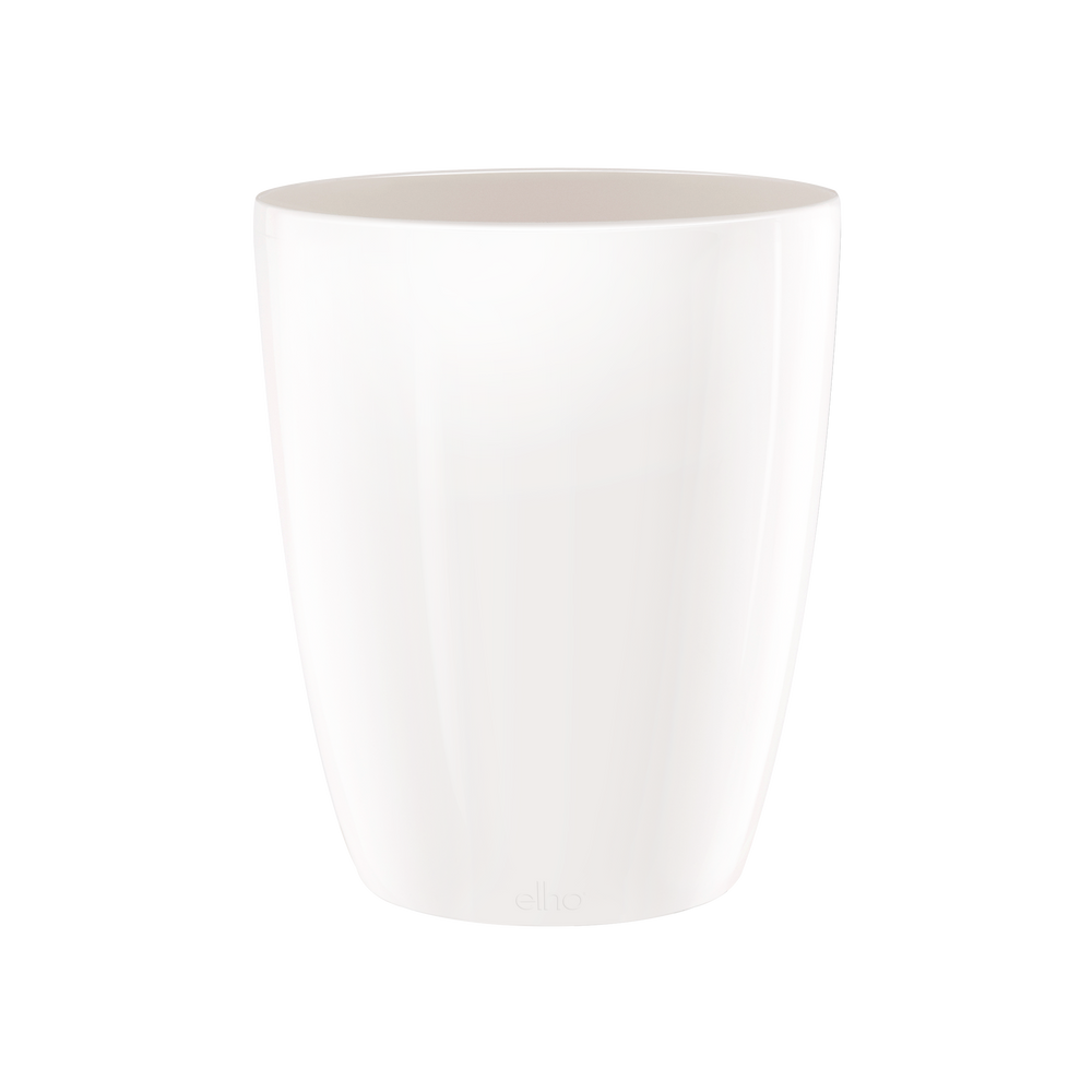 Brussels Diamond Orchidee Hoog 12,5Cm Wit