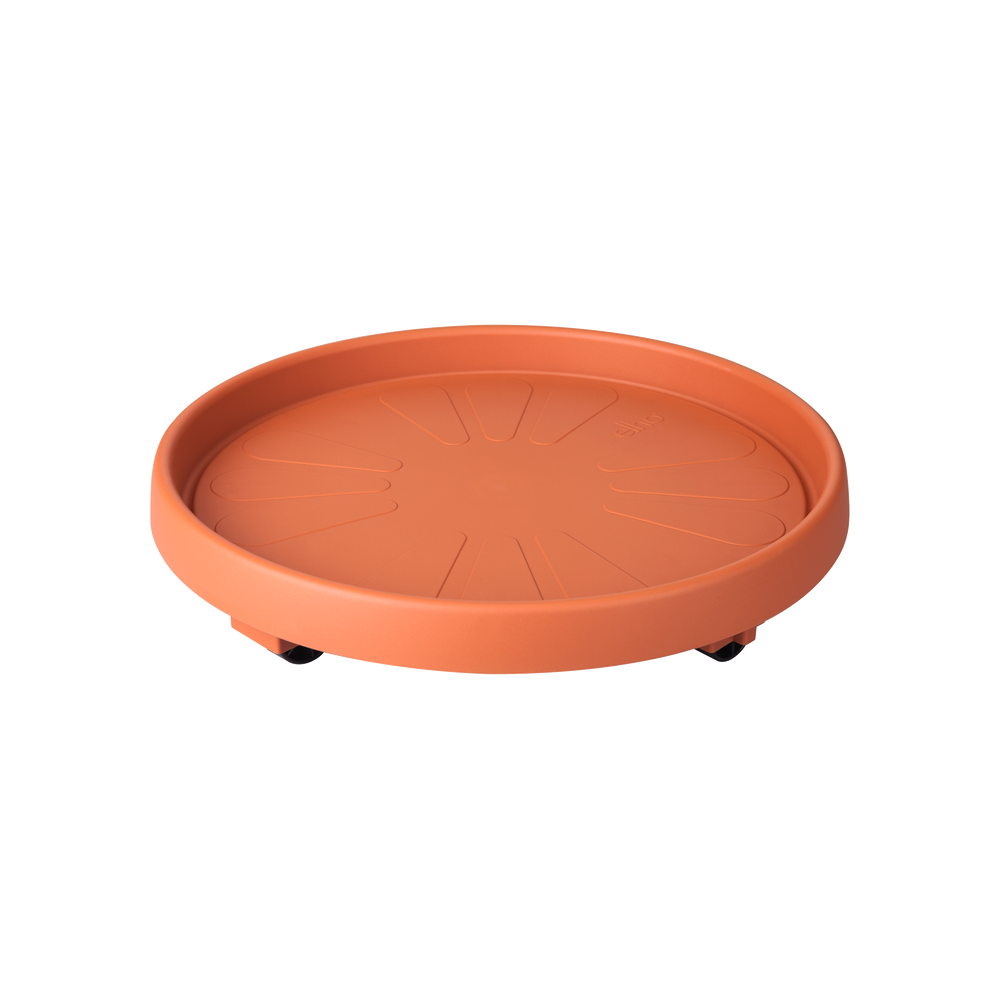 Universele Planttaxi 35Cm Terra