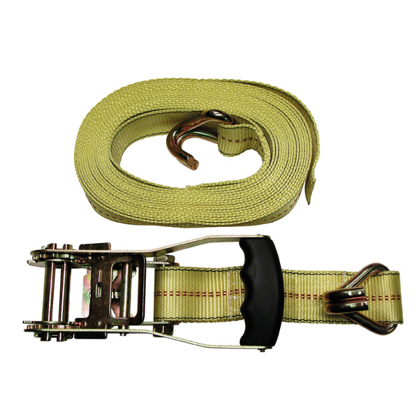 Carpoint Spanband met ratel professioneel 1x8 meter
