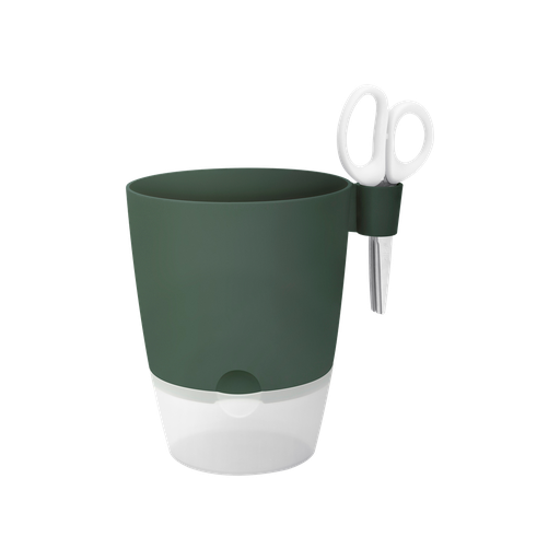 Brussels Kruiden Allin1 13Cm Blad Groen