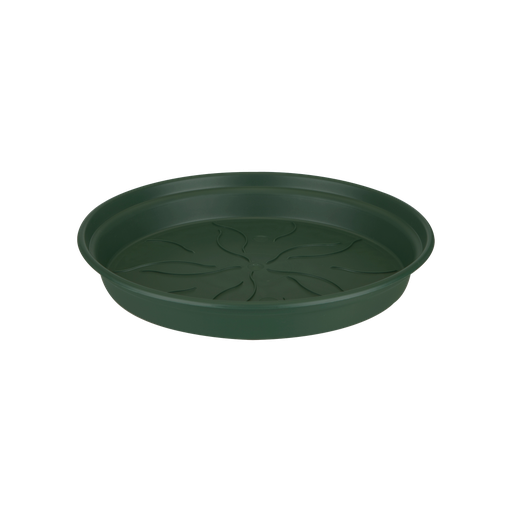 Green Basics Schotel 41Cm Blad Groen